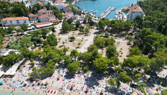 Sve zelenija Makarska: Treću godinu zaredom ostvaruje se plan 100 stabala u 365 dana