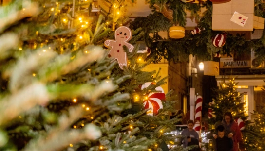 Advent donio sjajne rezultate