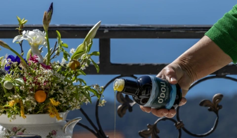 Među najboljima: Festival Autentica i suvenir O'DOLI Simply the best 2026