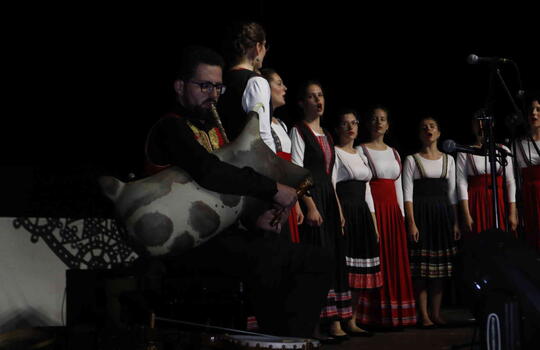 Festival MEtno