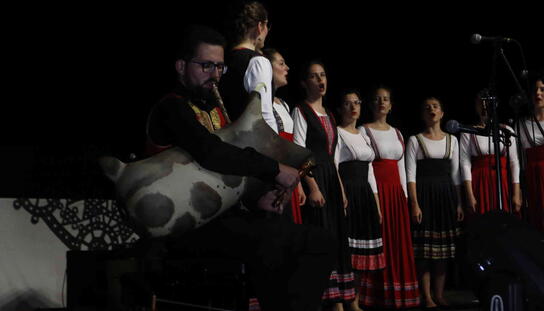 Festival MEtno