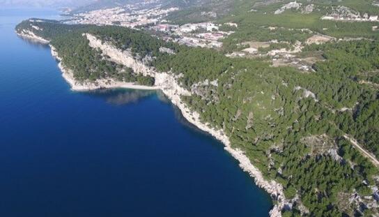 Osejavu treba zaštititi: Pokrenuta procedura za stavljanje van snage UPU- a  Platno